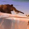 manny et diego - L'Age de glace 
