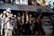 harrison ford carrie fisher peter mayhew - Star Wars : Episode 6 - Le retour du jedi