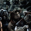 les ewoks - Star Wars : Episode 6 - Le retour du jedi