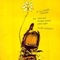 Affiche du film Banqueroute - Banqueroute 