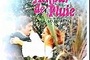 Affiche du film Un amour de pluie