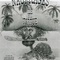 Affiche du film Les naufragés de l'île de la Tortue - Les naufragés de l'île de la Tortue 