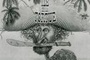 Affiche du film Les naufragés de l'île de la Tortue