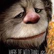 affiche promotionnelle carol