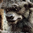 affiche promotionnelle the bull