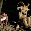 photo 9 du film max et les maximonstres