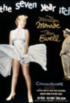 Affiche miniature du film Sept ans de réflexion