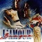 Affiche du film L'amour braque - L'amour braque 