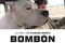 Affiche du film Bombon el Pero