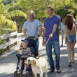 eric-dane-et-owen-wilson-jpg