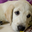 marley-deprime-jpg