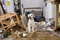 marley-le-chiot-jpg