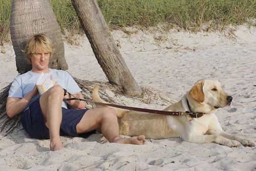 owen-wilson-a-la-plage-jpg