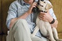 owen-wilson-et-son-chien-jpg