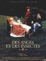 Affiche du film Des anges et des insectes