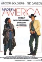 Affiche miniature du film Made in America
