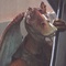 ahmed best - Star Wars : Episode 1 - La menace fantôme - Star Wars : Episode 1 - La menace fantôme 