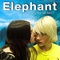 Affiche du film Elephant - Elephant 
