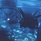 alien-jpg - Alien, la résurrection 