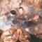 photo-du-film-alien-resurrection-jpg - Alien, la résurrection 