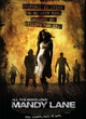 Affiche du film Tous les garçons aiment Mandy Lane