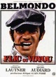 Affiche du film Flic ou voyou