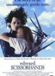 Affiche du film Edward aux mains d'argent