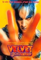 Affiche miniature du film Velvet Goldmine