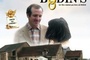Affiche du film Mariage chez les Bodin's