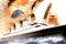 titanic-affiche-americaine-jpg