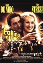 Affiche miniature du film Falling in love