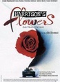 Harrison's Flowers