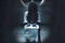 Affiche du film Le cercle - The Ring 2