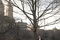 NY i love you film