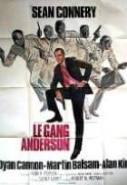 Affiche miniature du film Le Gang Anderson