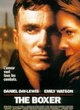 Affiche du film The Boxer
