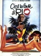 Affiche du film C'est la faute à Rio