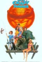 Affiche miniature du film Un été fou fou