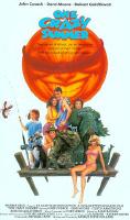 Affiche du film Un été fou fou