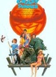 Affiche du film Un été fou fou