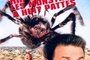 Affiche du film Arac Attack