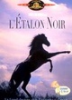 Affiche du film L'Etalon noir