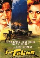 Affiche miniature du film Les Félins