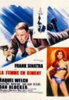 Affiche miniature du film La femme en ciment