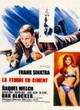 Affiche du film La femme en ciment