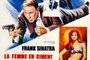 Affiche du film La femme en ciment