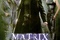 Affiche du film Matrix