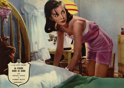 film d elia Kazan La fi  vre dans le sang