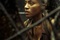 nona gaye