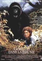 Affiche miniature du film Gorilles dans la brume